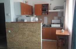 Apartament cu o camera, 28 mp, mobilat utilat, zona Terra