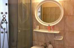 Apartament cu o camera, 28 mp, mobilat utilat, zona Terra