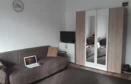 Apartament cu o camera, 28 mp, mobilat utilat, zona Terra