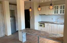 Apartament 2 camere, mobilat si utilat lux, Piata Mihai Viteazu