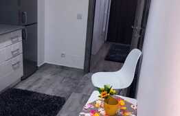 Apartament cu o camera, 40 mp, mobilat modern, prima inchiriere, AC, zona Park Lake