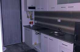 Apartament cu o camera, 40 mp, mobilat modern, prima inchiriere, AC, zona Park Lake