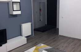 Apartament cu o camera, 40 mp, mobilat modern, prima inchiriere, AC, zona Park Lake