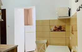 Apartament 1 camera, 32 mp, A.C., zona Piata Marasti