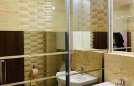 Apartament 1 camera, 32 mp, A.C., zona Piata Marasti