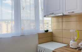 Apartament 1 camera, 32 mp, A.C., zona Piata Marasti