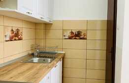 Apartament 1 camera, 32 mp, A.C., zona Piata Marasti