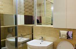 Apartament 1 camera, 32 mp, A.C., zona Piata Marasti