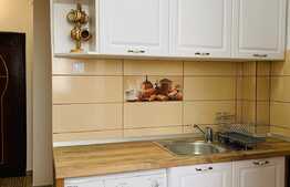 Apartament 1 camera, 32 mp, A.C., zona Piata Marasti