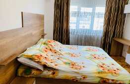 Apartament 1 camera, 32 mp, A.C., zona Piata Marasti