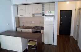 2 camere, 45 mp., zona Sub Cetate