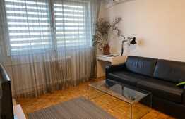 Apartament cu 2 camere, 48 mp, prima inchiriere, loc de parcare, in zona strazii Constantin Brancusi 