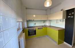 Apartament cu 2 camere, 48 mp, prima inchiriere, loc de parcare, in zona strazii Constantin Brancusi 