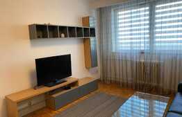 Apartament cu 2 camere, 48 mp, prima inchiriere, loc de parcare, in zona strazii Constantin Brancusi 