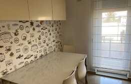 Apartament cu 2 camere, 48 mp, prima inchiriere, loc de parcare, in zona strazii Constantin Brancusi 