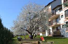 Apartament 4 camere, 88 mp, finisat, zona strazii Borhanciului