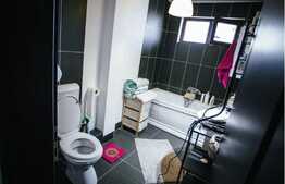 Apartament 3 camere, 2 parcari, curte, zona strazii Constantin Brancusi