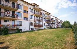 Apartament 3 camere, 2 parcari, curte, zona strazii Constantin Brancusi