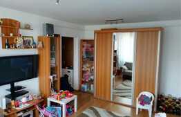 Apartament 2 camere, 45 mp, zona Interservisan