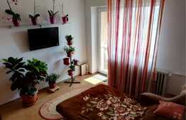 Apartament 2 camere, 45 mp, zona Interservisan
