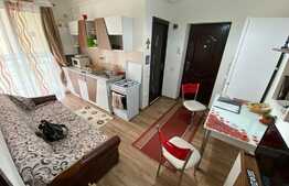 Apartament cu 1 camera, 31 mp, mobilat utilat, zona Porii