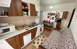 Apartament cu 1 camera, 31 mp, mobilat utilat, zona Porii