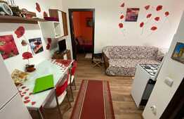 Apartament cu 1 camera, 31 mp, mobilat utilat, zona Porii