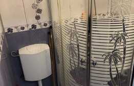 Garsoniera ideala pentru investite