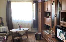 Garsoniera ideala pentru investite