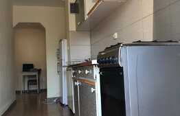 Apartament cu 3 camere, decomandate, balcon, terasa, zona Parang