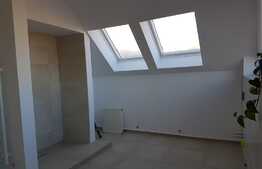 Apartament pe 2 nivele! 160 mp, parcare, ideal pentru birouri!