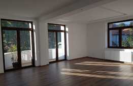 Apartament pe 2 nivele! 160 mp, parcare, ideal pentru birouri!