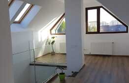 Apartament pe 2 nivele! 160 mp, parcare, ideal pentru birouri!