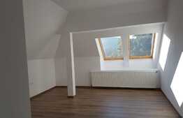 Apartament pe 2 nivele! 160 mp, parcare, ideal pentru birouri!