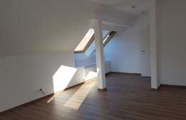 Apartament pe 2 nivele! 160 mp, parcare, ideal pentru birouri!