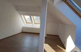 Apartament pe 2 nivele! 160 mp, parcare, ideal pentru birouri!