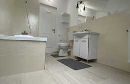 Apartament cu 3 camere, 120 mp, lux, parcare, zona C-tin Brancusi