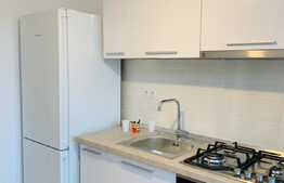 2 camere, 51 mp, mobilat modern, prima inchiriere, parcare, zona Leroy Merlin