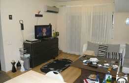 3 camere superfinisat in zona Somesului!