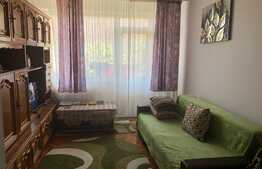 Vrei si liniste dar si aproape de centru? Apartament 2 camere decomandate, intermediar, garaj, Gruia