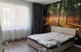  Oportunitate! Apartament 3 camere, semidecomandat, zona Fagului 