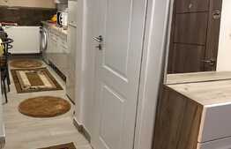 Apartament cu 1 camera, 40 mp, decoamndat, zona strazii Aleea Padin 