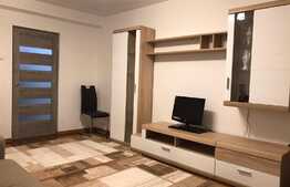 Apartament cu 1 camera, 40 mp, decoamndat, zona strazii Aleea Padin 