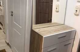 Apartament cu 1 camera, 40 mp, decoamndat, zona strazii Aleea Padin 