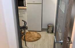 Apartament cu 1 camera, 40 mp, decoamndat, zona strazii Aleea Padin 