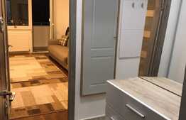 Apartament cu 1 camera, 40 mp, decoamndat, zona strazii Aleea Padin 