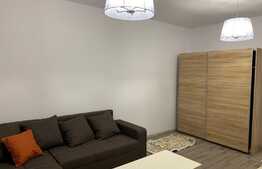 Apartament cu o camera, 40 mp, mobilat modern, prima inchiriere, zona Park Lake
