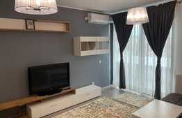 Apartament cu o camera, 40 mp, mobilat modern, prima inchiriere, zona Park Lake