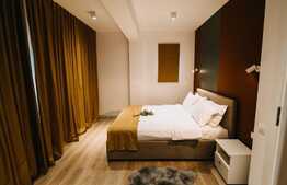 Apartament de lux! 2 camere, terasa, garaj, zona strazii C-tin Brancusi