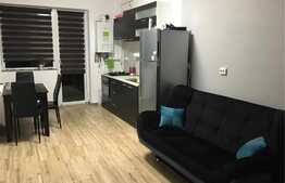 Apartament cu 2 camere, 42 mp, mobilat modern, pet friendly, parcare, pet friendly, zona strazii Urusagului